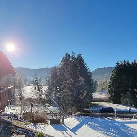 Les Fuchsias, Face Au De Longemer Chalet Xonrupt-Longemer