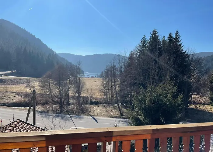 Les Fuchsias, Face Au De Longemer