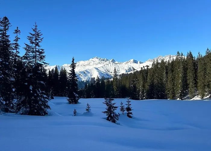 Horská chata Les Fuchsias, Face Au De Longemer *