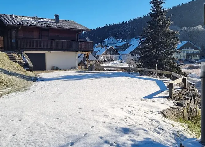 Les Fuchsias, Face Au De Longemer *